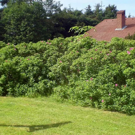 6 Person Holiday In Bl Vand Ferienhaus Blåvand